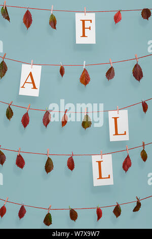 Bunte Herbst Rahmen mit dem Wort fallen auf Papier geschrieben und rote getrocknete Blätter hängen auf Strings mit Holz- klemmen, auf eine blaue Wand. Stockfoto