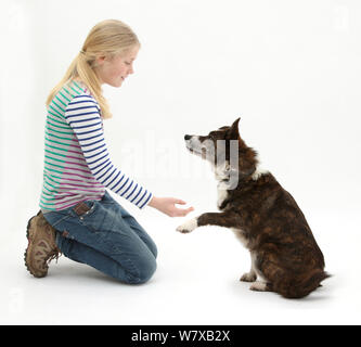 Mädchen mit Hände mit mongrel Hund zu schütteln. Model Released Stockfoto