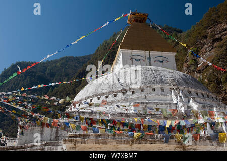 Gorsam Chorten (buddhistische Stupa), in der Nähe von Zemitang, Arunachal Pradesh, Indien. Januar 20104. Stockfoto