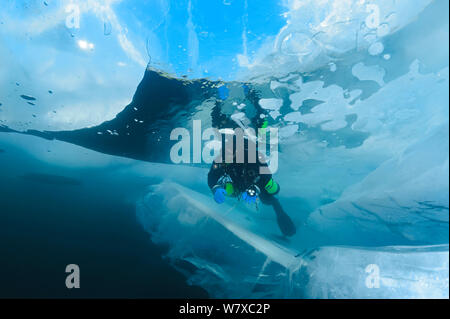Diver Prüfung gebrochenem Eis Formationen unter Wasser, blauer Himmel über 1 m dicken transparenten Eis oben sichtbar. Reflexion kann in Luftblasen der Taucher gesehen werden. Baikalsee, Russland, März 2013. Stockfoto