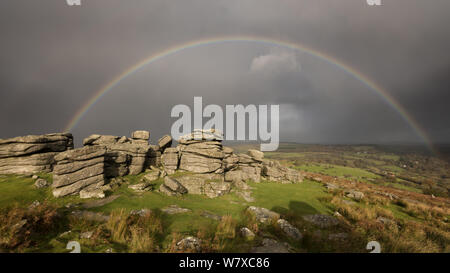 Rainbow an Combestone Tor, am frühen Morgen Licht, Nationalpark Dartmoor, Devon, Großbritannien. November 2013. Stockfoto