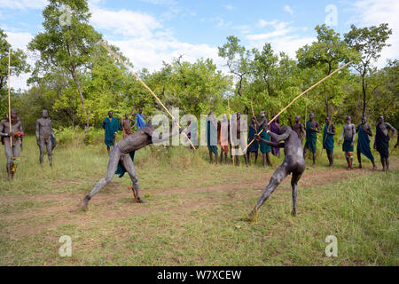 ' Donga' stick Kämpfer, Suri/Surma Stamm. Die Donga Kämpfe sind eine Steckdose, um Konflikte zwischen den Stämmen zu lösen. Omo-tal, Äthiopien, September 2014. Stockfoto