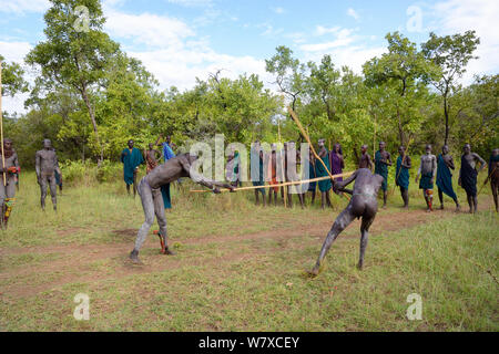 ' Donga' stick Kämpfer, Suri/Surma Stamm. Die Donga Kämpfe sind eine Steckdose, um Konflikte zwischen den Stämmen zu lösen. Omo-tal, Äthiopien, September 2014. Stockfoto