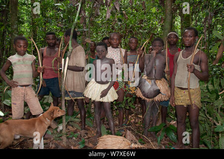 Mbuti pygmy Einleitung Jagd, mit zwei Jungen in traditionellen Blau Body Paint und Stroh Rock. Eine junge hält Fang von Blue Duiker (Philantomba monticola) Ituri Rainforest, Demokratische Republik Kongo, Afrika, November 2011. Stockfoto