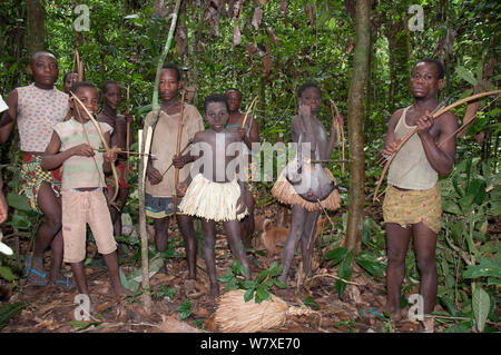 Mbuti pygmy Einleitung Jagd, mit zwei Jungen in traditionellen Blau Body Paint und Stroh Rock. Eine junge hält Fang von Blue Duiker (Philantomba monticola) Ituri Rainforest, Demokratische Republik Kongo, Afrika, November 2011. Stockfoto