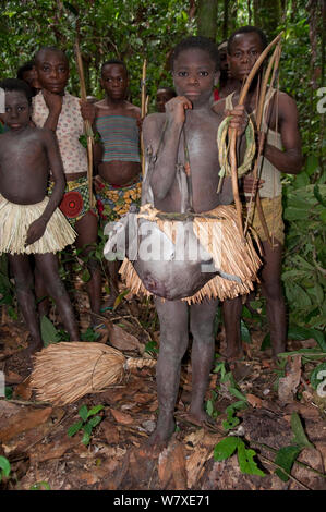 Mbuti pygmy Einleitung Jagd, mit zwei Jungen in traditionellen Blau Body Paint und Stroh Rock. Eine junge hält Fang von Blue Duiker (Philantomba monticola) Ituri Rainforest, Demokratische Republik Kongo, Afrika, November. Stockfoto