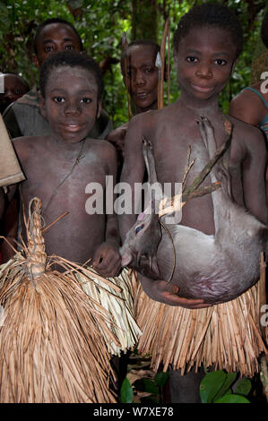 Mbuti pygmy Einleitung Jagd, mit zwei Jungen in traditionellen Blau Body Paint und Stroh Rock. Eine junge hält Fang von Blue Duiker (Philantomba monticola). Ituri Rainforest, Demokratische Republik Kongo, Afrika, November 2011. Stockfoto