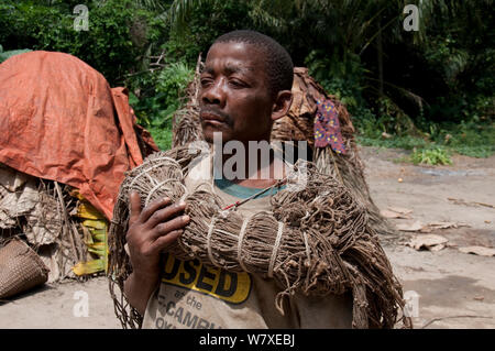 Mbuti Pygmy Mann an der Jagd Camp mit Jagd Netze, Ituri Rainforest, Demokratische Republik Kongo, Afrika, Januar 2012. Stockfoto