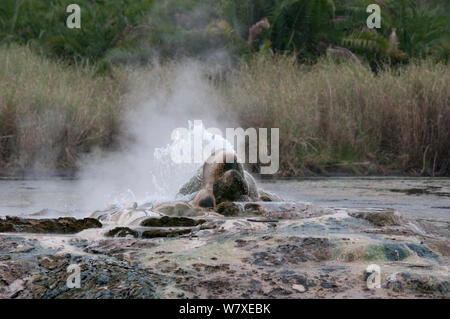 Thermalquellen an Semiliki Valley, Western Uganda. Februar 2012. Stockfoto