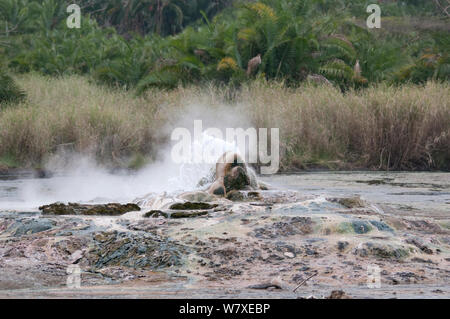 Thermalquellen an Semiliki Valley, Western Uganda. März 2012. Stockfoto