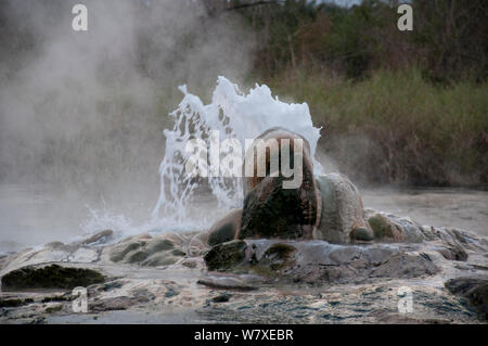 In der Nähe von Thermalquellen auf Semiliki Valley, Western Uganda. Februar 2012. Stockfoto