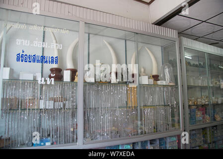 Gefälschte Produkte (einschließlich Elfenbein Stoßzähne) aus Porzellan, für den Verkauf im Shop, Nakhon Sawan, Thailand, Dezember 2012. Stockfoto