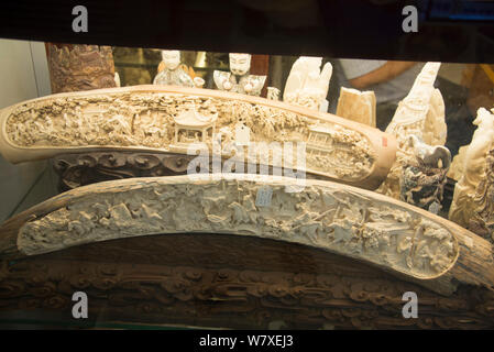 Geschnitztes Elfenbein Stoßzähne, für den Verkauf im Shop auf der Nathan Road, Kowloon, Hong Kong, Dezember 2012. Stockfoto