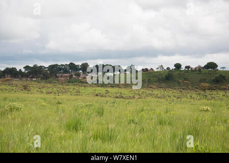 Landschaft Lebensraum der letzten Herde von Grant &#39;s Zebra (Equus quagga boehmi) in der DR Kongo. Upemba-nationalpark, Demokratische Republik Kongo, März 2012. Stockfoto