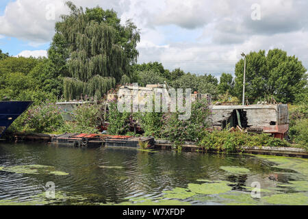 Einem havarierten Schiff verlieren den Kampf gegen die Natur von einem Exeter Canal Cruise gesehen, Europas älteste Ship Canal. Stuart Linien Kreuzfahrten Stockfoto