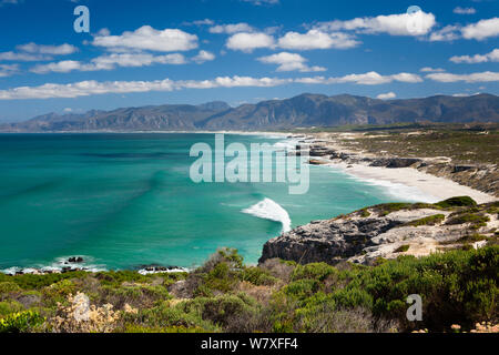 Walker Bay nach Hermanus an einem Sommertag. Gansbaai, Western Cape, Südafrika. Dezember 2011. Nicht-ex. Stockfoto