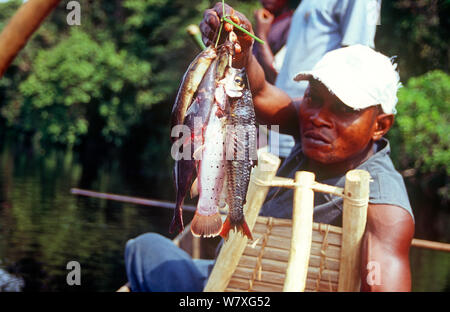 Fischer mit Haken an den Momboyo Fluss, Demokratische Republik Kongo, 2008-2009. Stockfoto