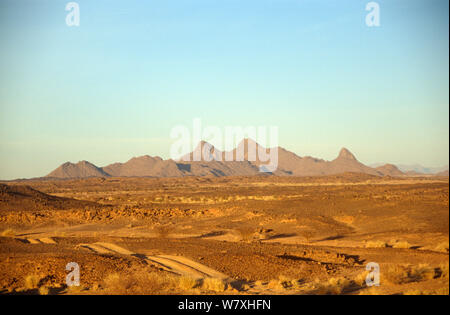 Landschaft der zentralen Sahara, Niger, 2004. Stockfoto