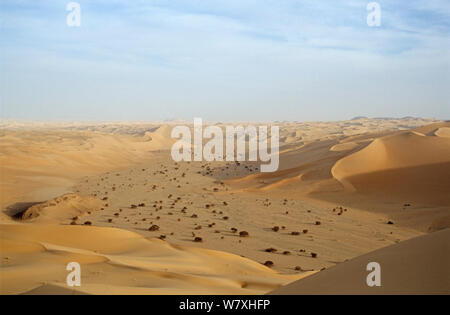Landschaft der zentralen Sahara, Niger, 2004. Stockfoto