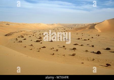 Landschaft der zentralen Sahara, Niger, 2004. Stockfoto