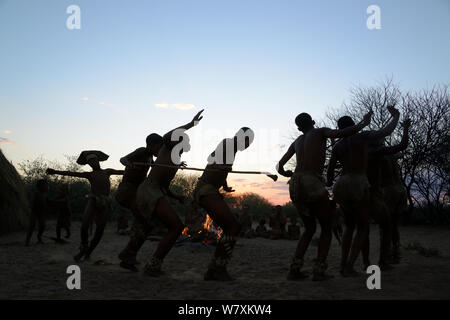 Naro San Buschmänner, Familie, Männer, die traditionellen Tanz und Frauen singen und sitzen um das Feuer in der Morgendämmerung, Kalahari, Ghanzi region, Botswana, Afrika. Trockene Jahreszeit, Oktober 2014. Stockfoto