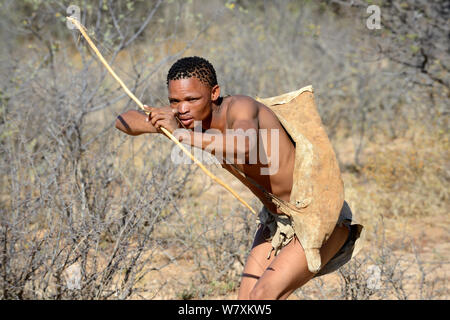 Naro San Buschmänner Jagd im Busch mit traditioneller Pfeil und Bogen, Kalahari, Ghanzi region, Botswana, Afrika. Trockene Jahreszeit, Oktober 2014. Stockfoto