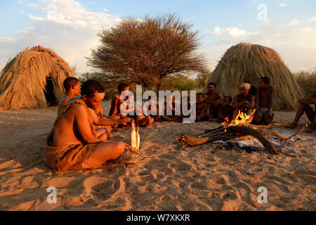 Naro San Buschmännern Familie rund um das Feuer sitzen, Frau Peeling die Wurzel eines kombrua Pflanze, die nahrhaft ist und Durstlöscher. Kalahari, Ghanzi region, Botswana, Afrika. Trockene Jahreszeit, Oktober 2014. Stockfoto