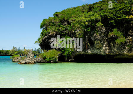 Oro Bay, Ile des Pins (Isle of Pines) Neukaledonien, September 2008. Stockfoto