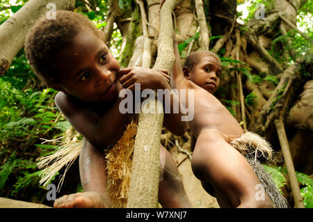 Kinder spielen in den Ästen eines Baumes. Insel Tanna, Provinz Tafea, Vanuatu, September 2008. Stockfoto