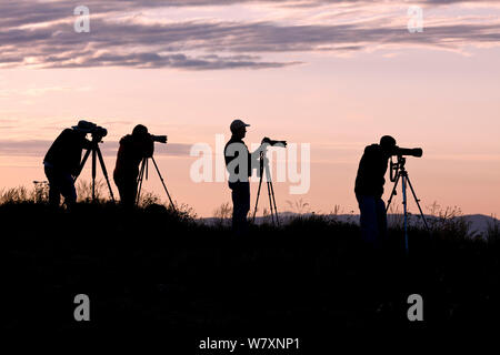 Fotografen stellten sich bei Sonnenaufgang auf Steptoe Butte, Steptoe Butte State Park, Whitman County, Washington, USA, Juni 2014. Stockfoto