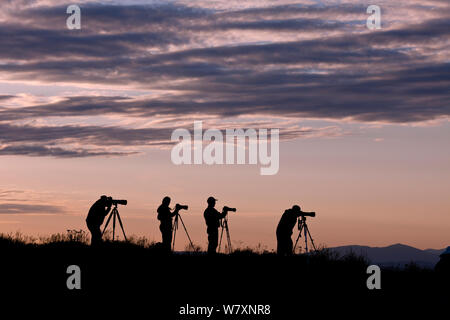 Fotografen Silhouette bei Sonnenaufgang auf Steptoe Butte, Steptoe Butte State Park, Whitman County, Washington, USA, Juni 2014. Stockfoto