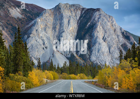 Die Straße nach Skagway mit herbstlichen Bäume und Berg, Süd Klondike Highway, Yukon, Kanada, September 2013. Stockfoto