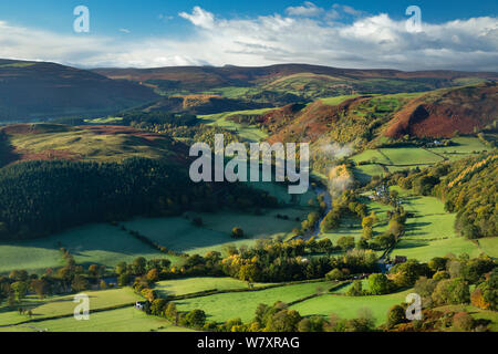 Ländliche Landschaft mit Feldern von Schafen und kleines Dorf, Dee Tal (Dyffryn Dyfrdwy) in der Nähe von Llangollen, Denbighshire, Wales, UK, November 2013. Stockfoto