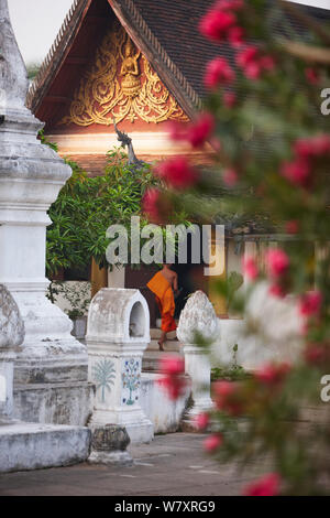 Wat Khili Tempel, mit buddhistischer Mönch im Eingang, Luang Prabang, Laos, März 2009. Stockfoto