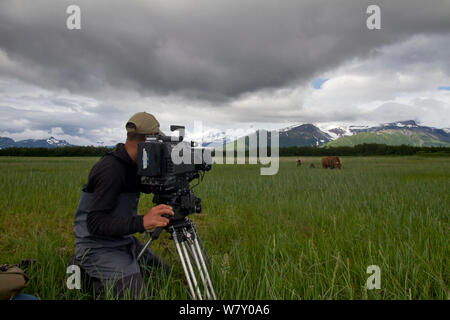 Kameramannschmierfilmbildung Grizzlybär (Ursus arctos Horribilis) mit Jungen auf die Produktion für den &#39; Bären&#39;. Katmai National Park, Alaska, Juli 2013. Stockfoto