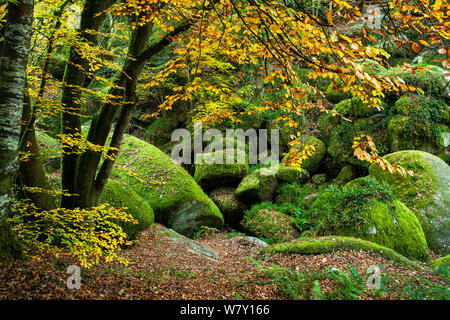 Die 'Chaos von Felsen' im Herbst, Huelgoat Wald, Finistere, Bretagne, Frankreich, Oktober 2007. Stockfoto