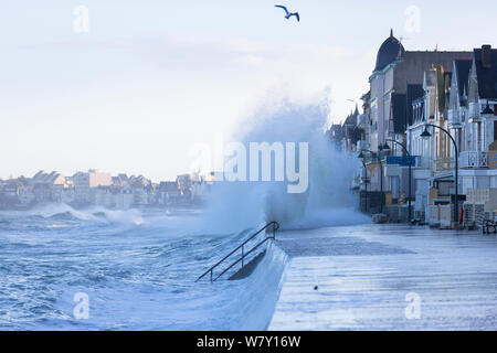 Springflut Wellen Verzurren der Küste bei Saint-Malo, Ille-et-Vilaine, Bretagne, Frankreich. Februar 2014. Stockfoto