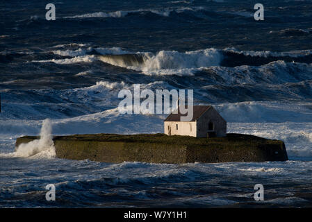 Wellen, die auf die kleine Kapelle von Porth Cwyfan während Sturm, Anglesey, Wales, Mai 2012. Stockfoto