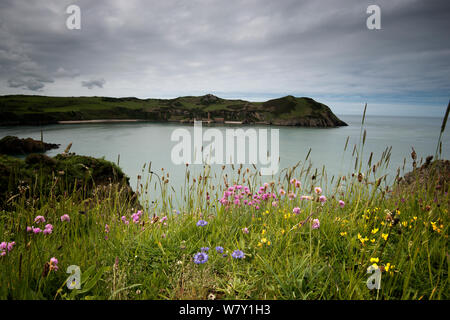 Blick auf Küste und abgebrochene Ziegel Werke von Porth Wen, Anglesey, Wales, Oktober 2012. Stockfoto