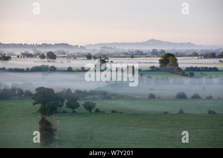 Niedrig liegenden Nebel über Somerset Levels, mit Glastonbury Tor im Hintergrund, Somerset, UK, August. Stockfoto