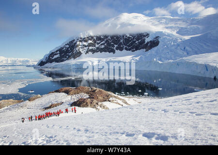 Touristen wandern bis Schneefeld an Neko Harbour, Andvord Bay, Antarktis, Februar 2011. Stockfoto