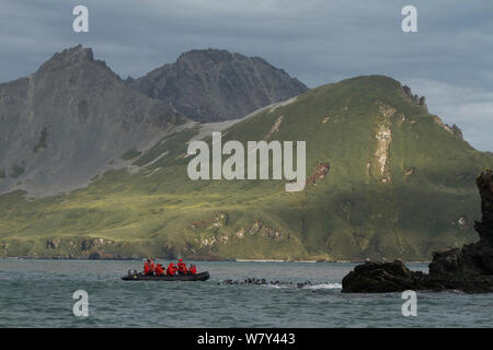 Touristen beobachten Gruppe junger Antarktische Pelzrobben (Arctocephalus gazella) von Zodiac Boot, Cooper Bay, South Georgia, Februar 2011. Stockfoto