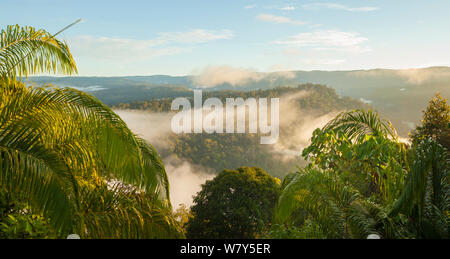 Den Rand des Maliau Becken am Horizont, überragt den dichten Regenwald es umschließt. Maliau Becken, Sabah, Borneo, Mai 2011. Stockfoto