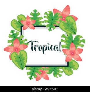 Quadratischen Rahmen mit tropischen Blumen und Blätter Vector Illustration Design Stock Vektor