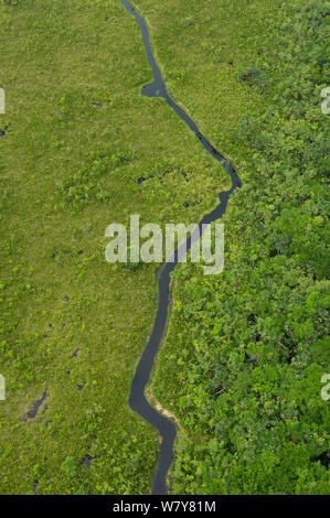 Luftaufnahme von Blackwater Swamp, Yasuni Nationalpark, Amazonas Regenwald, Ecuador, Südamerika Stockfoto