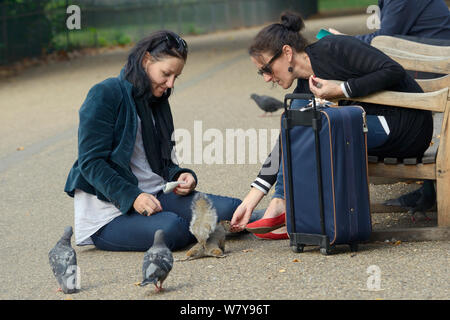 Zwei weibliche Touristen füttern Grauhörnchen (Sciurus carolinensis) von Hand, durch verwilderte Tauben (Columba livia) St. James&#39;s aufgepaßt, Park, London, UK, September 2014. Stockfoto