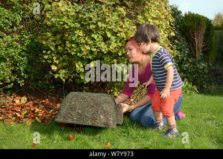 Junge beobachtet, wie seine Mutter Positionen Igel Unterschlupf unter Garten Hecke, Bristol, Großbritannien, Oktober 2014. Model Released. Stockfoto