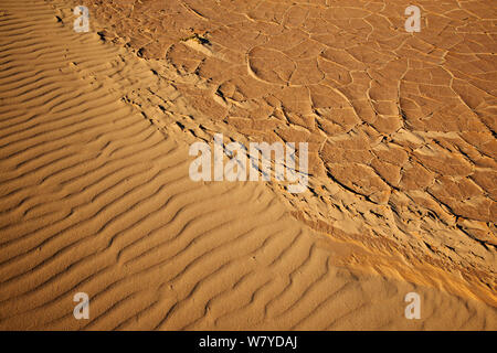 Wellen in Sand und rissig Schlamm, Parque Natural de Corralejo, Fuerteventura, Kanarische Inseln. April 2013. Stockfoto