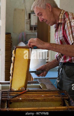 Imker Nick Hunt Entfernen von Wachs aus der Wabe. Usk, Gwent, Wales, UK. August 2014. Stockfoto