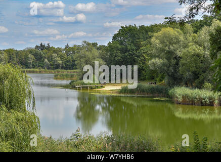 06. August 2019, Brandenburg, Reichenow: Der lange See auf Schloss Reichenow. Foto: Patrick Pleul/dpa-Zentralbild/ZB Stockfoto